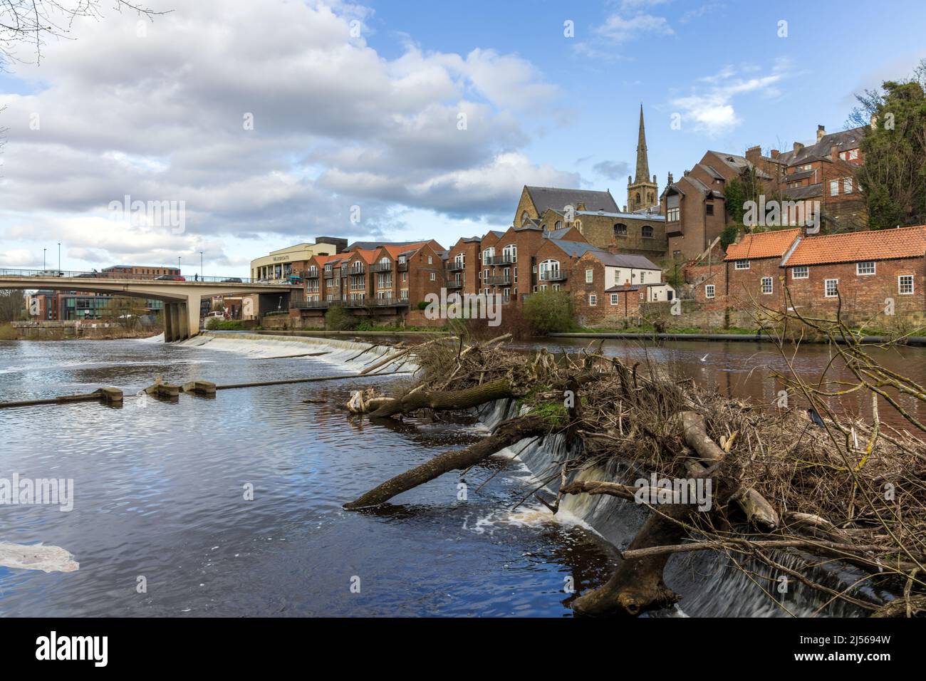 An der Wehr am Fluss festsitzende Äste tragen sich in der Stadt Durham, Grafschaft Durham, England, Großbritannien Stockfoto