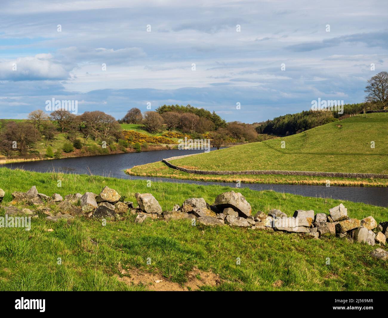 John O' Gaunt Stausee in Nidderdale in Yorkshire. Ein wunderschöner Frühlingsnachmittag und die Aussicht ist reizend mit Trockenmauern und wilden Vögeln. Stockfoto