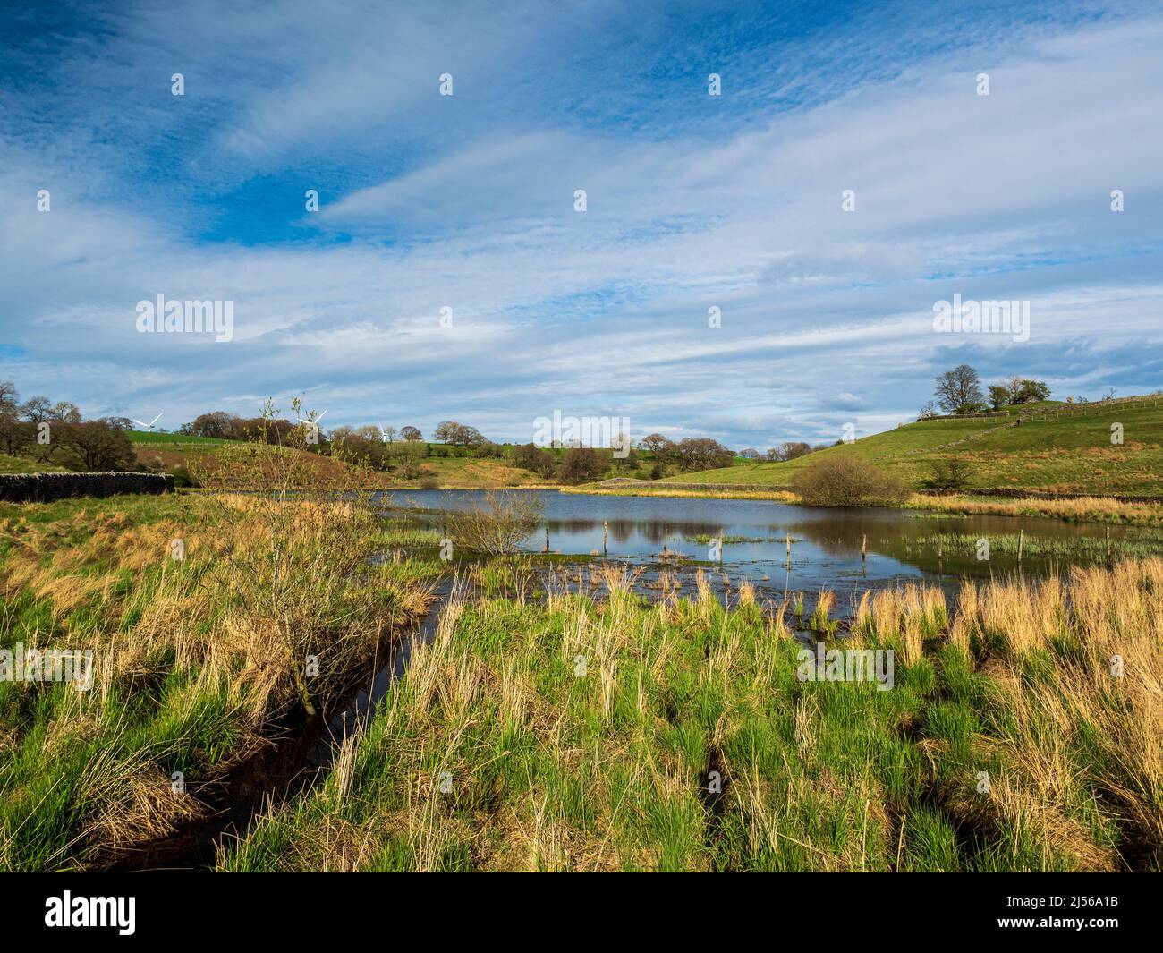 John O' Gaunt Stausee in Nidderdale in Yorkshire. Ein wunderschöner Frühlingsnachmittag und die Aussicht ist reizend mit Trockenmauern und wilden Vögeln. Stockfoto