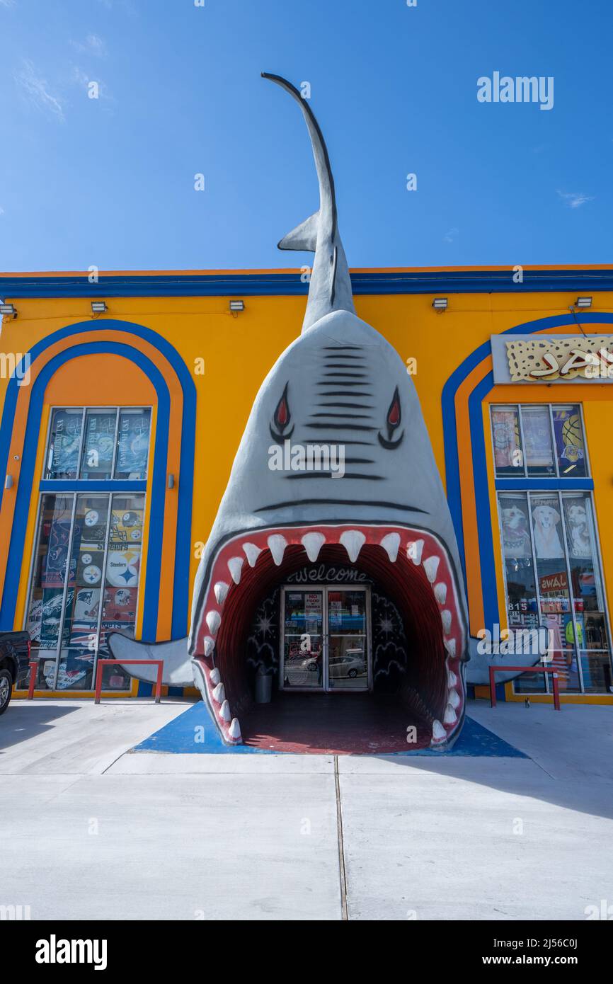 Ein Hai an der Fassade eines Touristenladens im Ferienort South Padre Island, Texas. Der Enry geht durch den Hai-Mund. Stockfoto