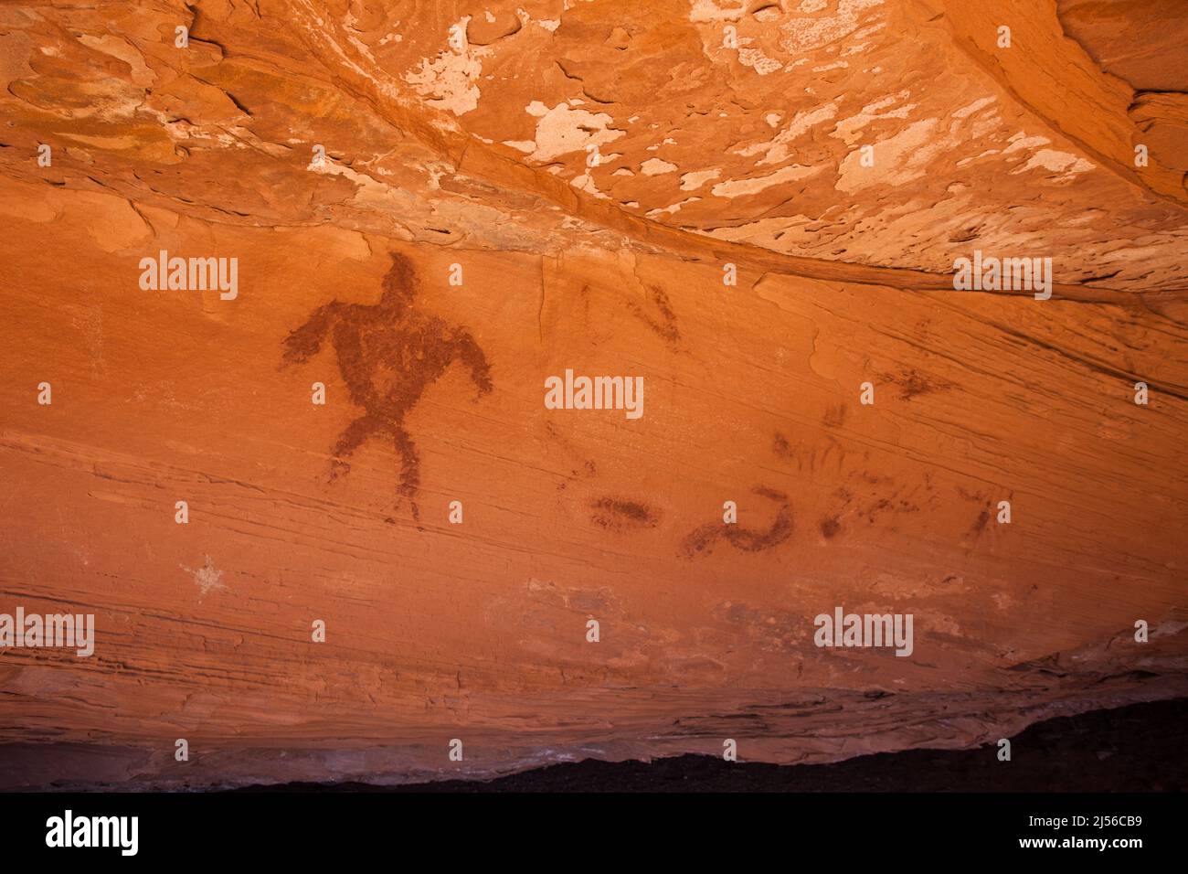 Pictograph-Panel der Vorfahren Puebloan, Moon House Ruin Complex, Fish Creek Canyon WSA, Cedar Mesa, Utah. Stockfoto