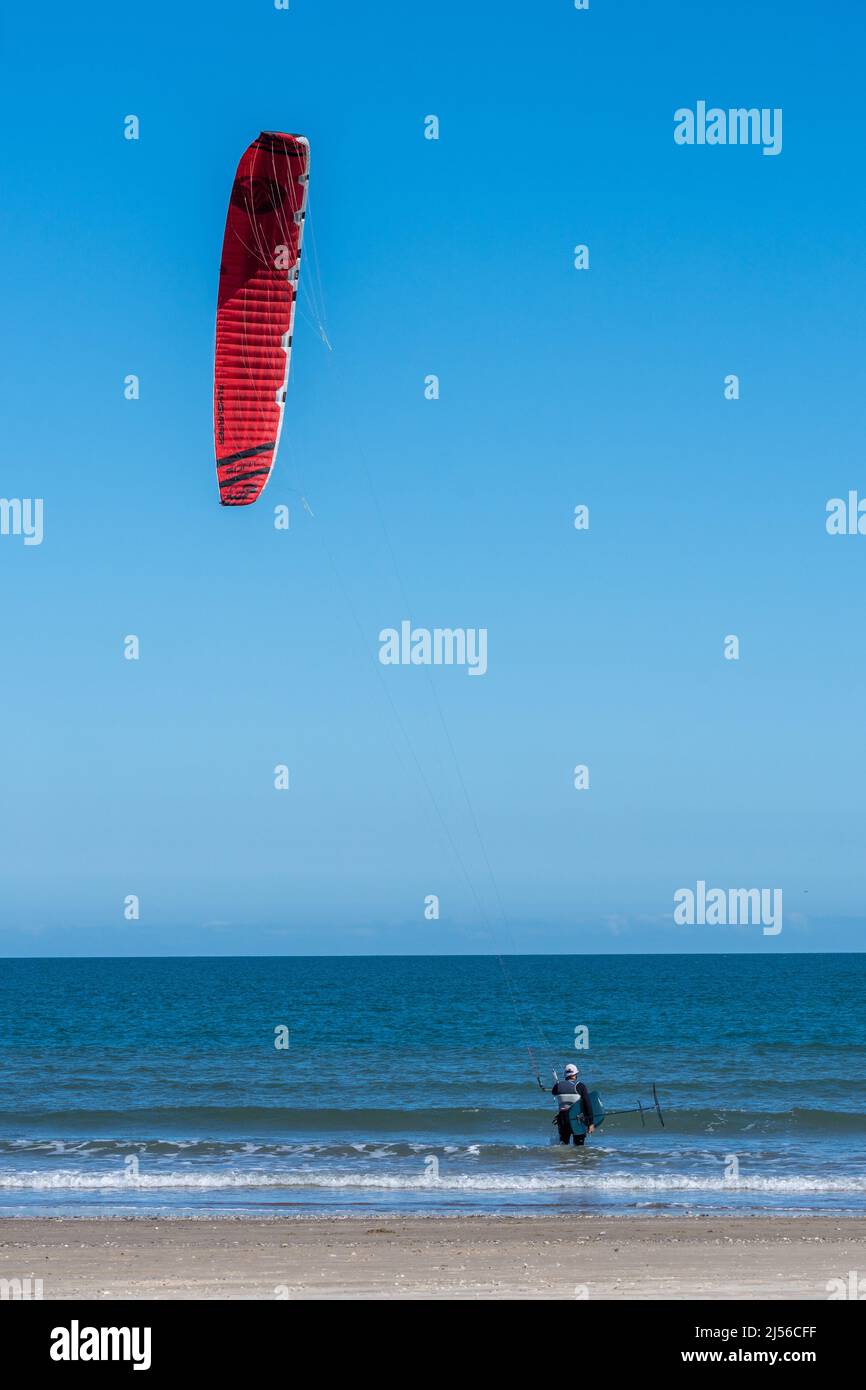 Ein männlicher Kite-Surfer startet seinen Drachen vom Strand auf South Padre Island, Texas. Er trägt sein Tragflächenboot. Stockfoto