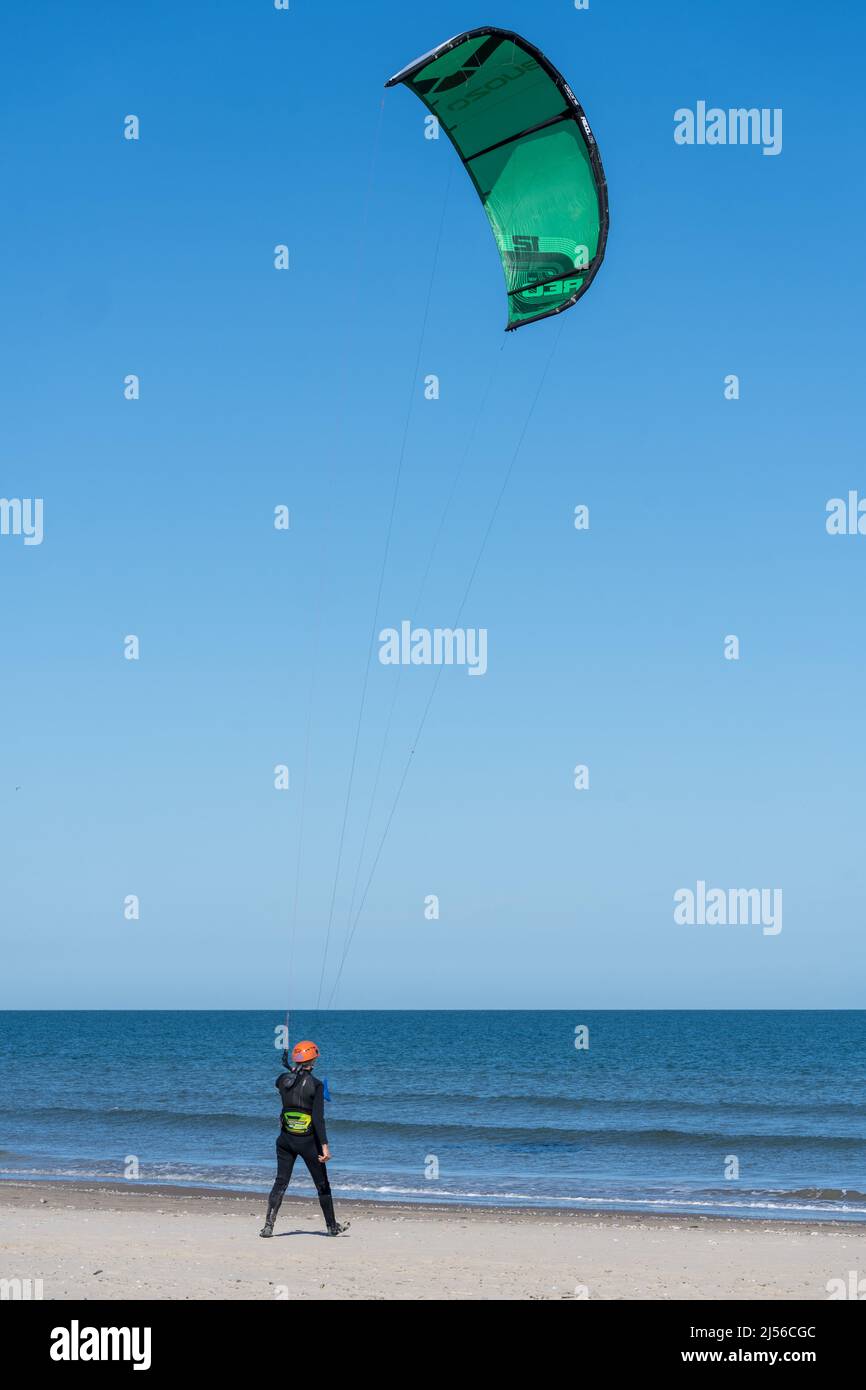Eine weibliche Kitesurferin startet ihren Kite vom Strand auf South Padre Island, Texas. Stockfoto