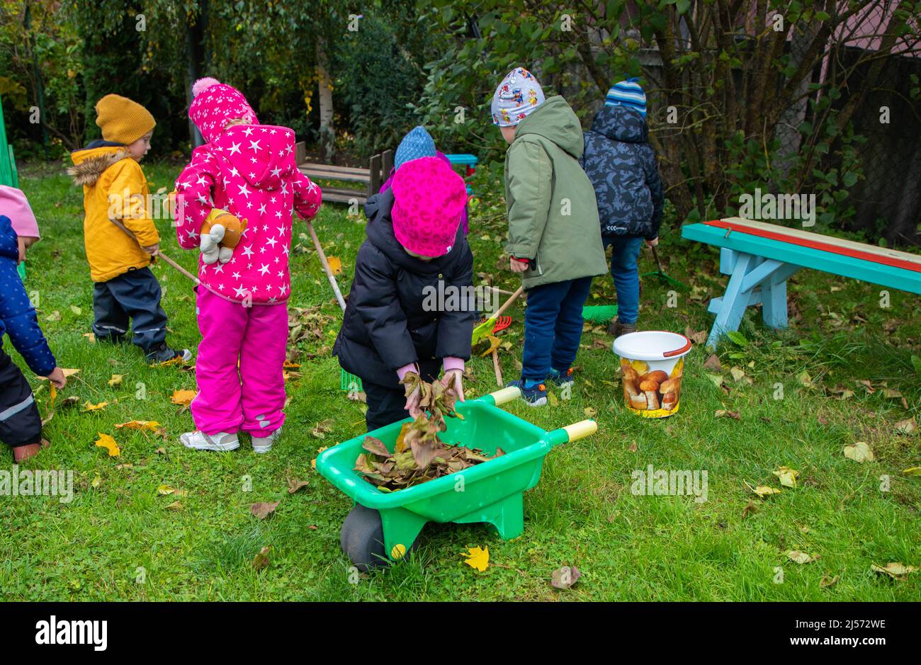 Die Kinder im Kindergarten sammeln gelb gefallene Blätter von Bäumen Stockfoto