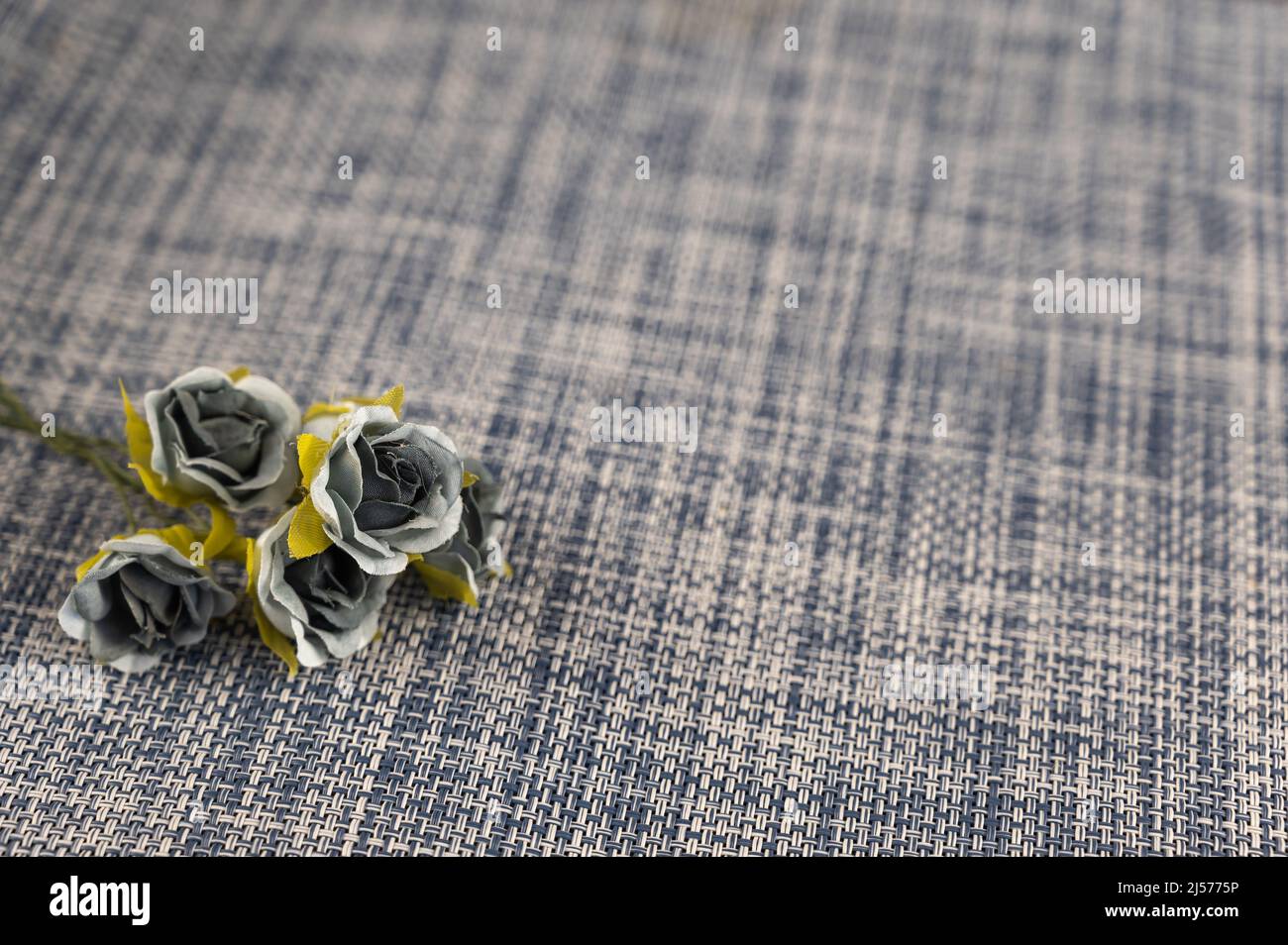 Strauß grauer Blumen auf blauem und weißem Hintergrund. Künstliche Blumen aus Stoff. Stockfoto