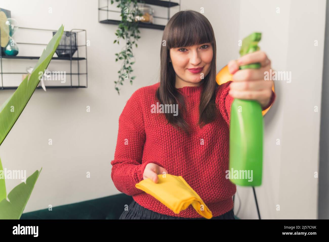 Junge dunkelhaarige Frau hält Sprayer und Stoff Kopie Raum Medium Schuss Wohnzimmer Hintergrund . Hochwertige Fotos Stockfoto