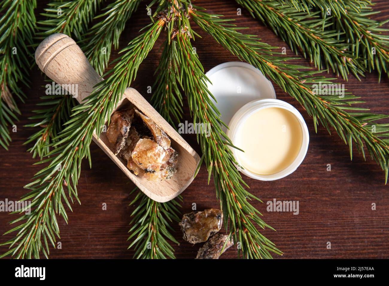 Fichtenbaum Picea abies Kräuterharz Lotion in Glas und Stücke auf Holzlöffel, mit frischen Fichtenzweige verziert. Stockfoto