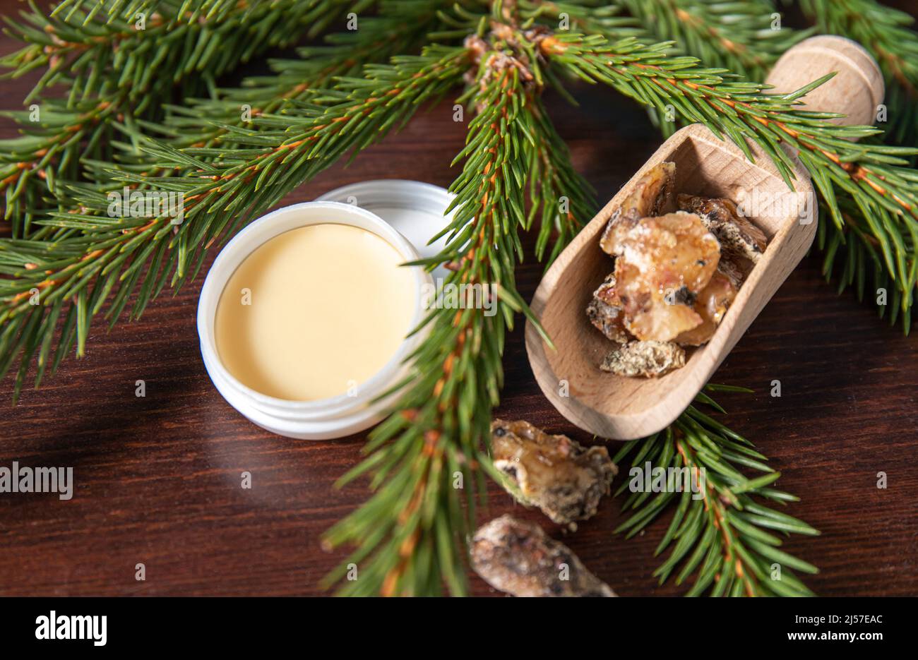 Fichtenbaum Picea abies Kräuterharz Lotion in Glas und Stücke auf Holzlöffel, mit frischen Fichtenzweige verziert. Stockfoto