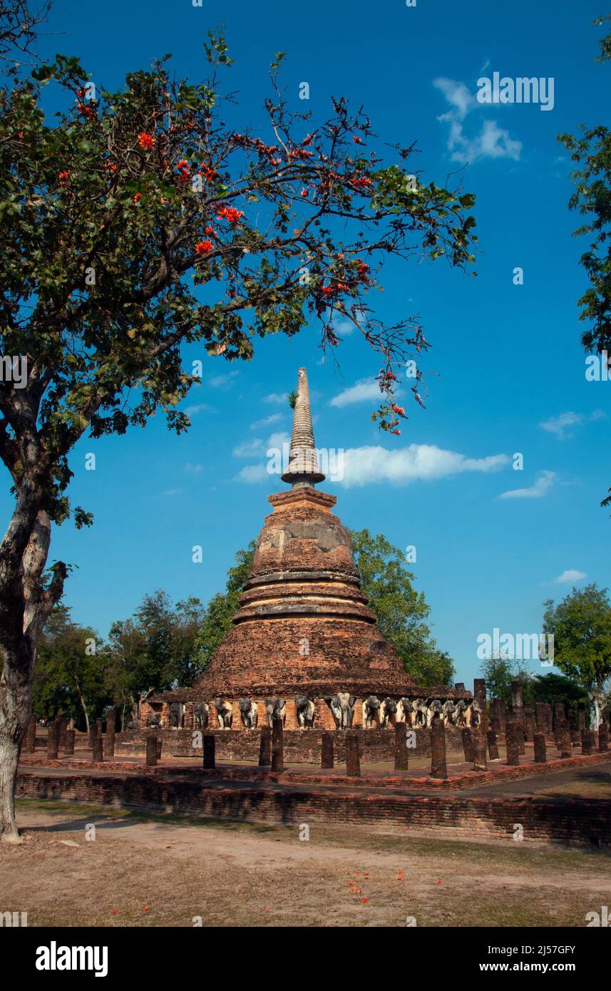 Thailand: Wat Chang Lom, Sukhothai Historical Park, Old Sukhothai. Sukhothai, was wörtlich „Morgenröte des Glücks“ bedeutet, war die Hauptstadt des Königreichs Sukhothai und wurde 1238 gegründet. Es war die Hauptstadt des thailändischen Reiches für etwa 140 Jahre. Stockfoto