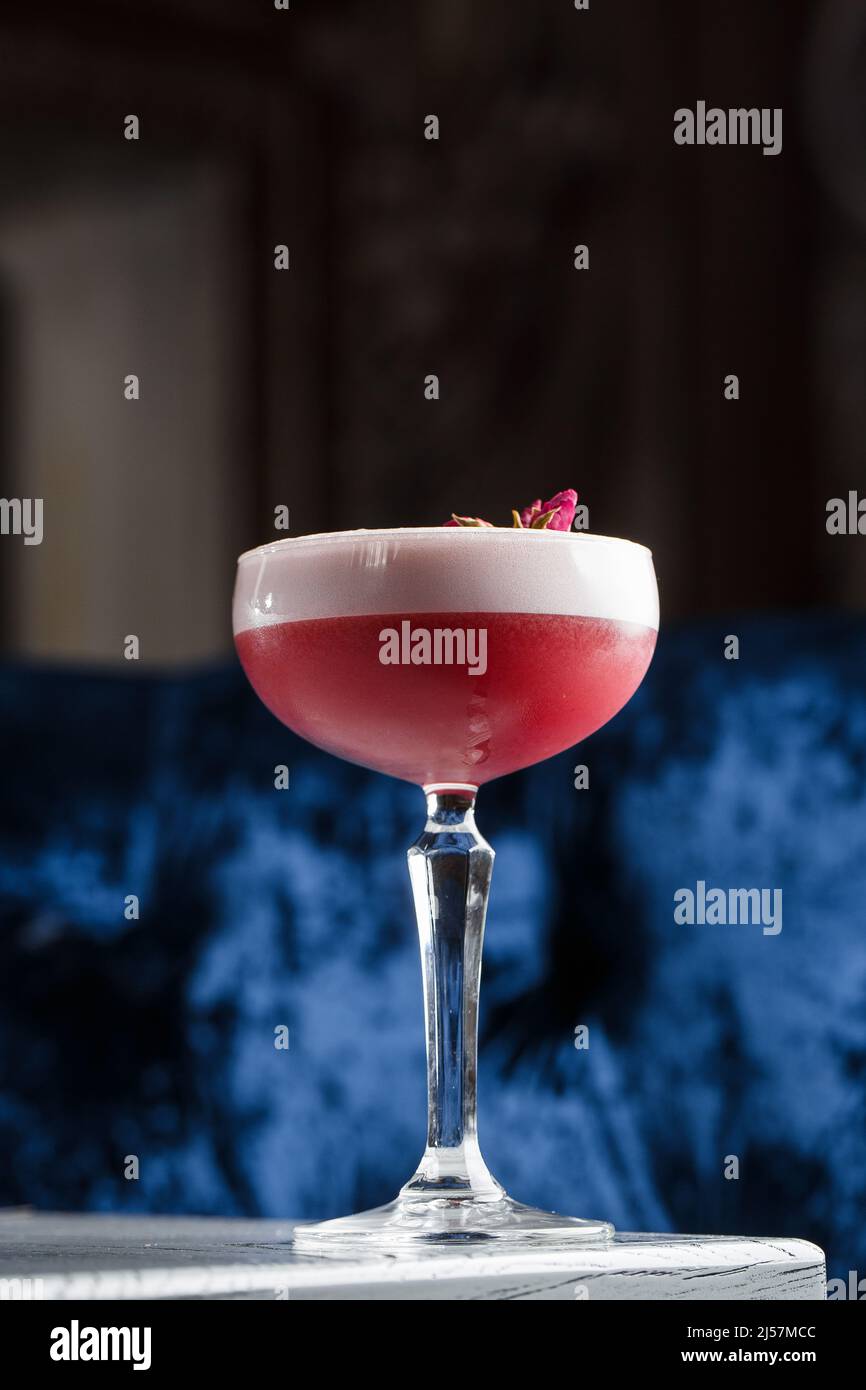 Pink Clover Club Cocktail aus Coupé-Glas mit Schaumstoffschicht und Blumengarnish isoliert auf dunklem Hintergrund. Stockfoto