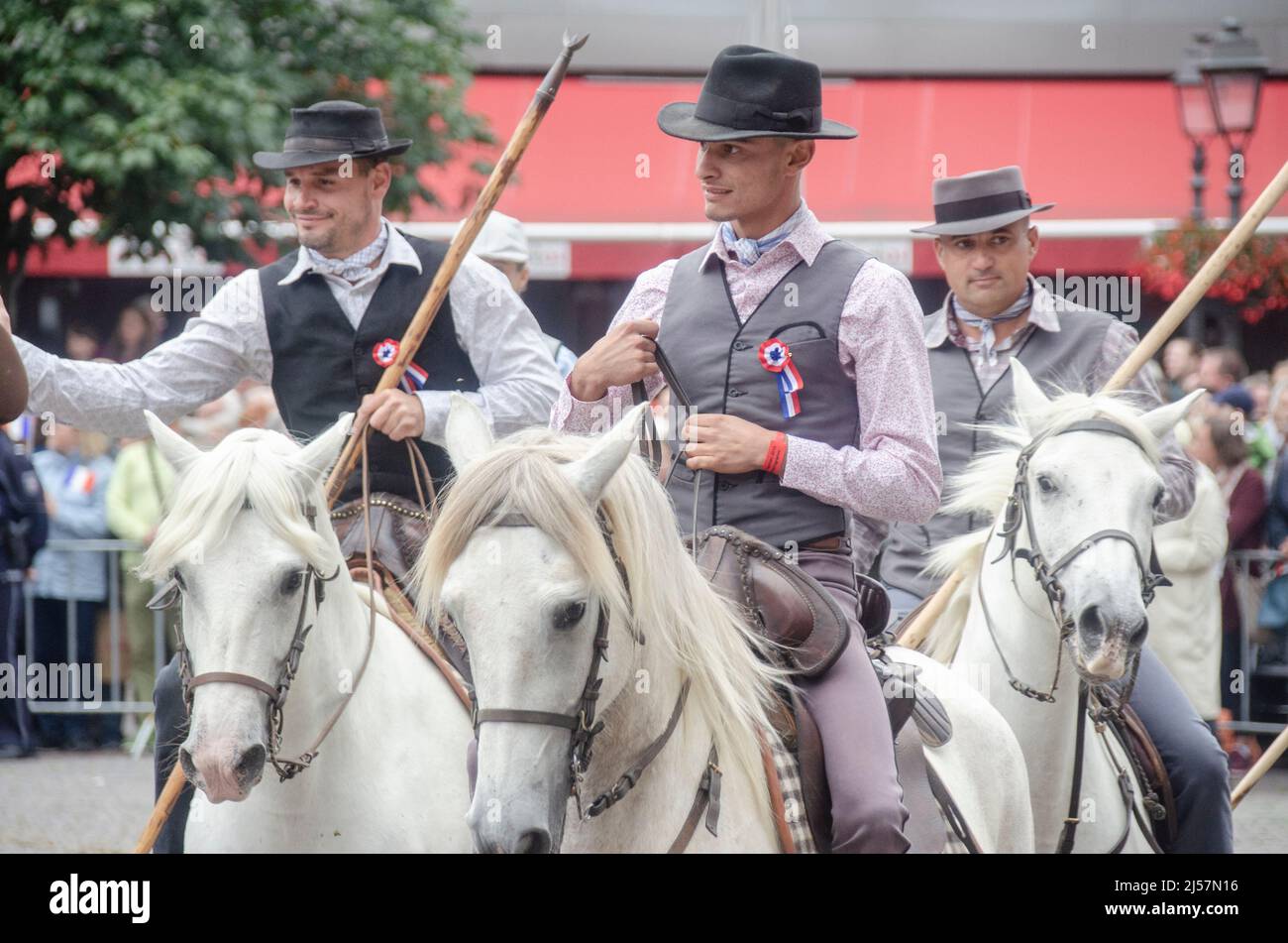 Aachen Juni 2019: Die CHIO-Pferdeshow in der Innenstadt Stockfoto