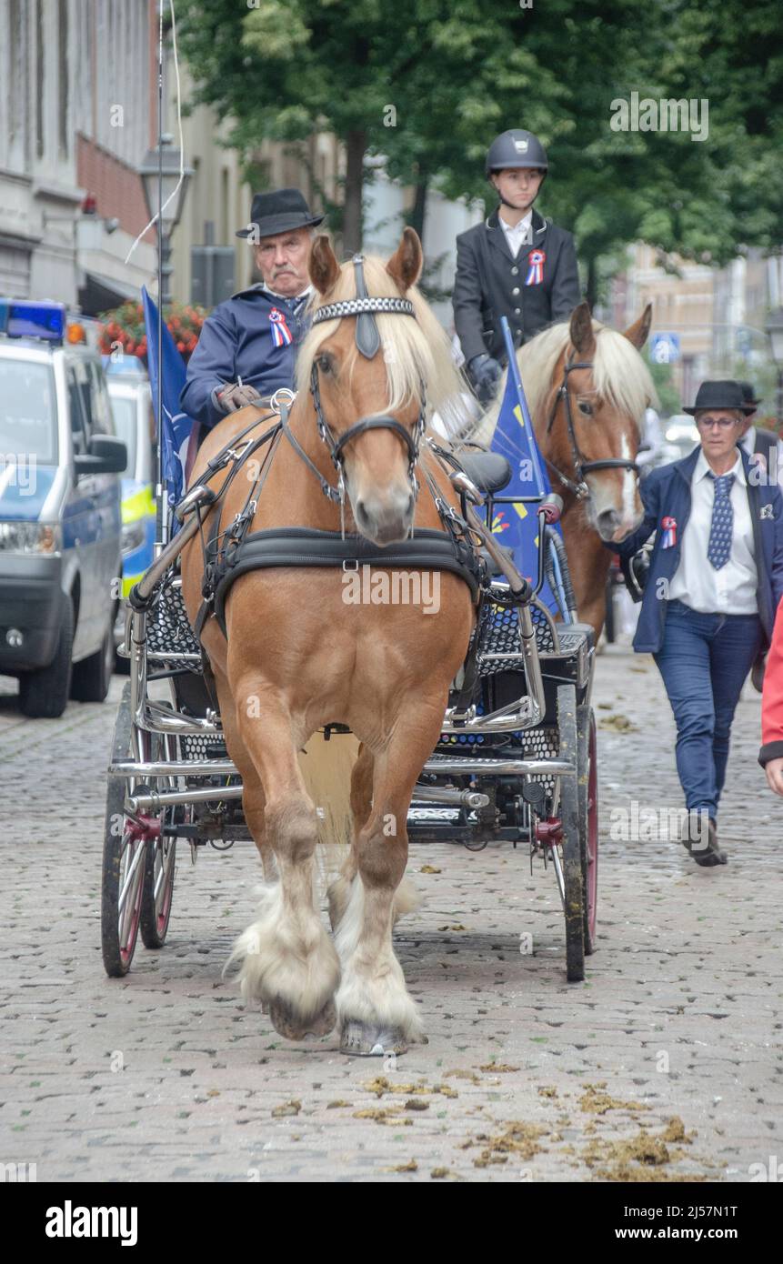 Aachen Juni 2019: Die CHIO-Pferdeshow in der Innenstadt Stockfoto
