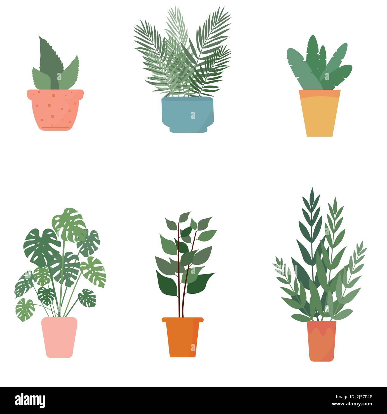 Set von Zimmerpflanzen in Blumentöpfen. Vektorgrafik, isoliert. Stock Vektor