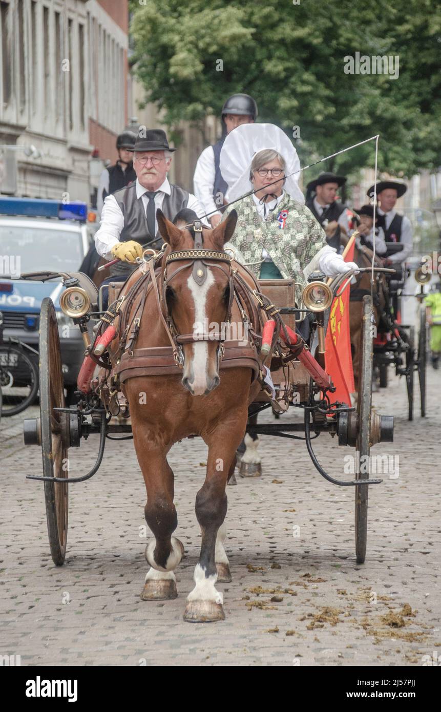 Aachen Juni 2019: Die CHIO-Pferdeshow in der Innenstadt Stockfoto