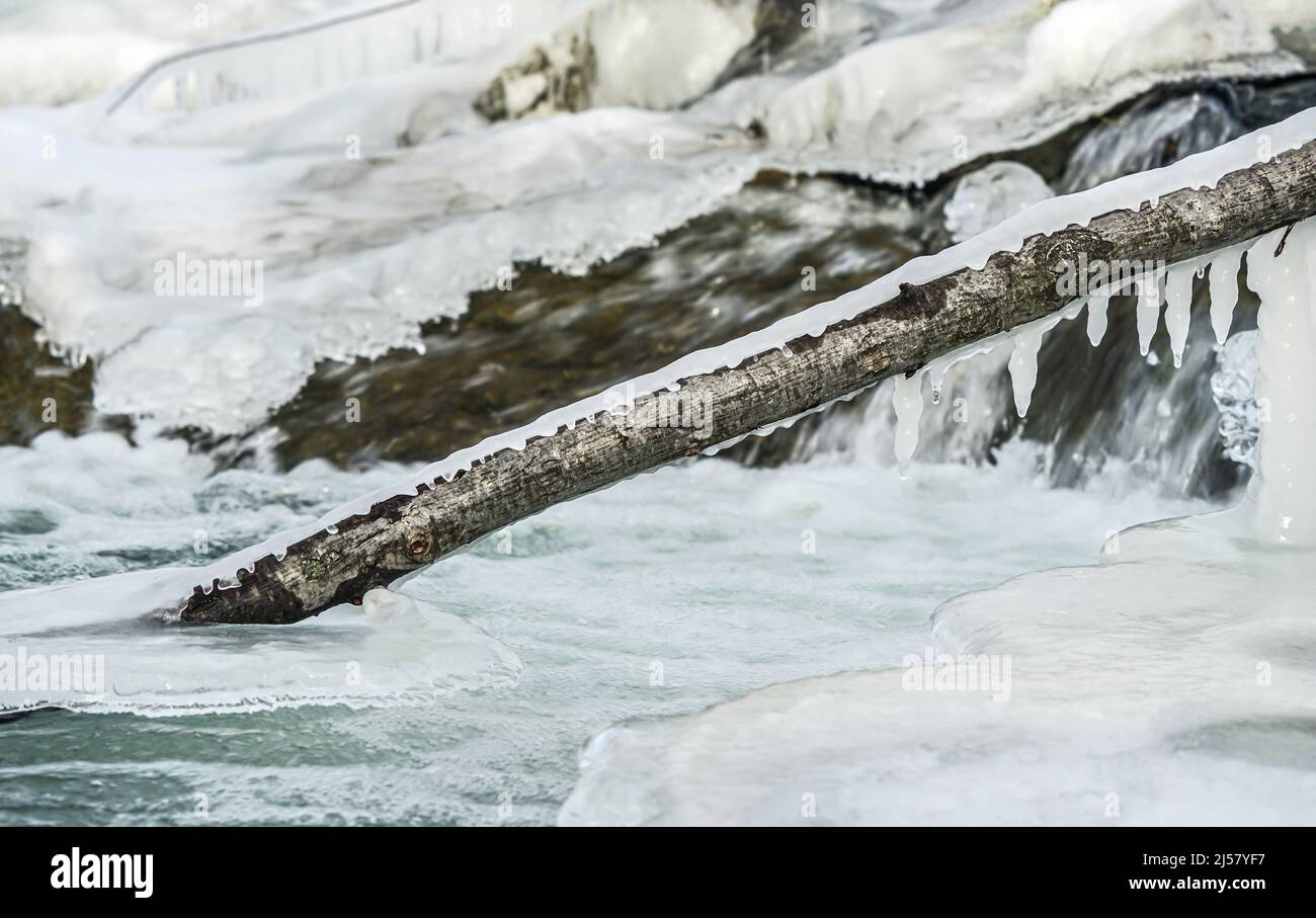 Winter Fluss fließt in der Nähe von Schnee und Eis bedeckt Steine und kleinen gefallenen Baum mit Eiszapfen, Nahaufnahme Detail. Stockfoto
