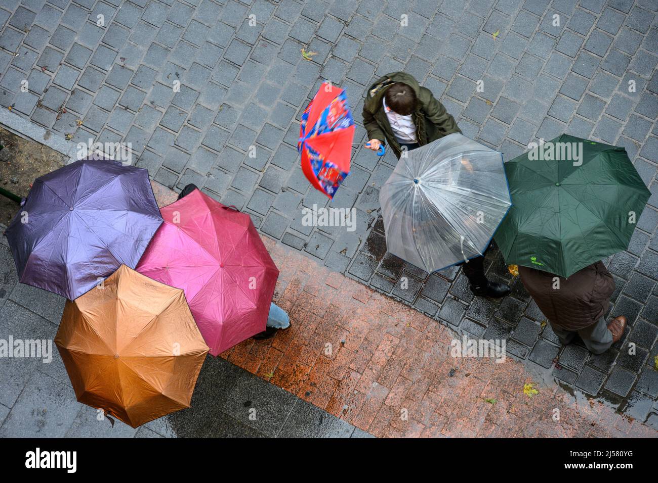 Gruppen von Menschen, die sich an einem regnerischen Tag in Madrid, Spanien, unter Regenschirmen unterhalten. Stockfoto