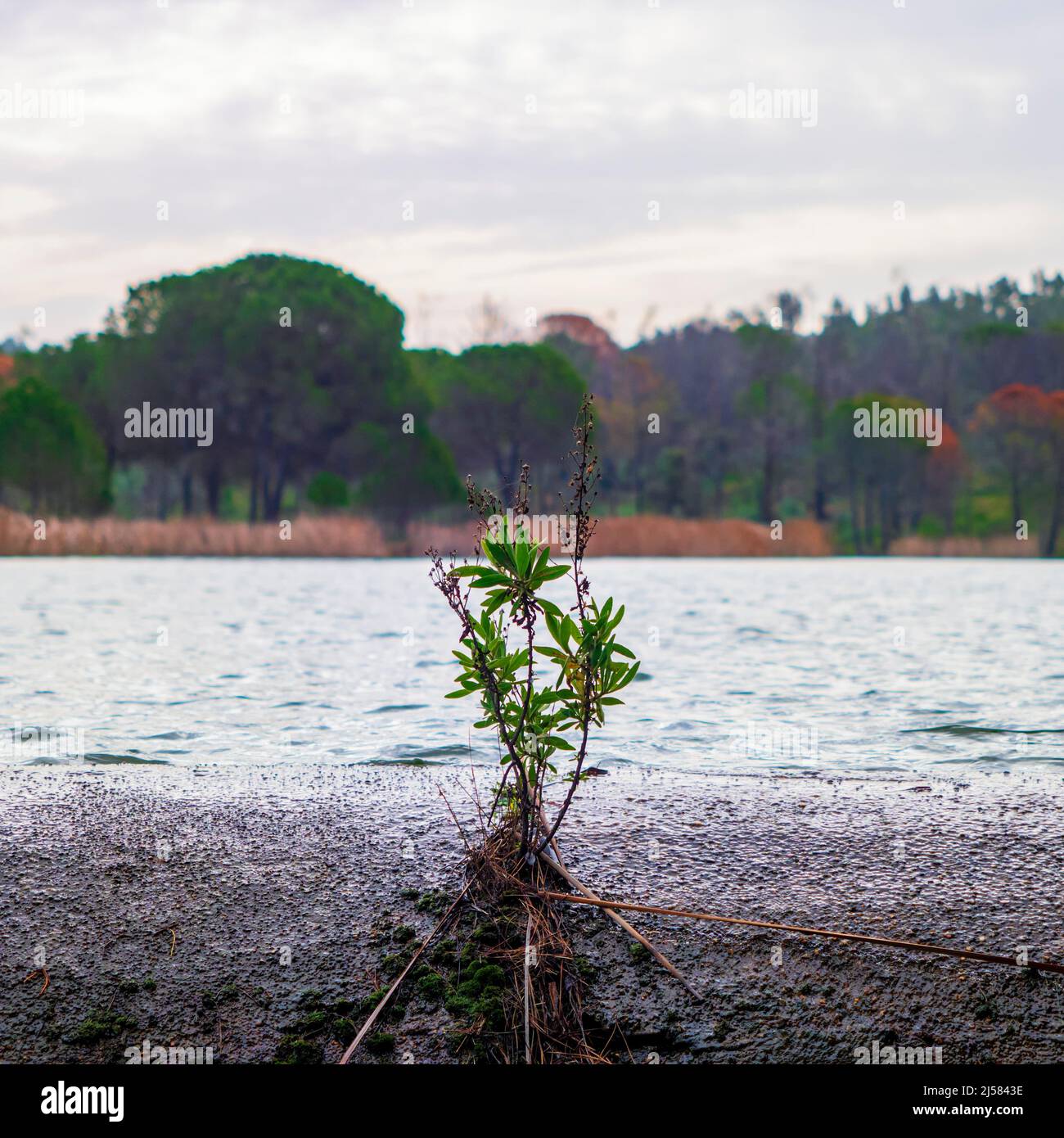 Blick auf den Gossan-Stausee bei Riotinto, Huelva Stockfoto