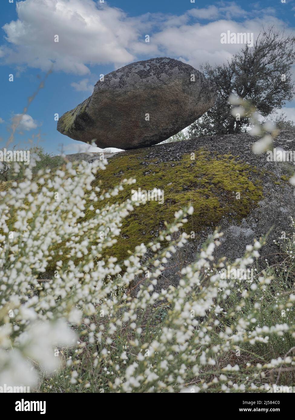 Einzelner Fels auf dem Granit-Felsformation im Naturreservat Los Barruecos, Extremadura, Spanien Stockfoto