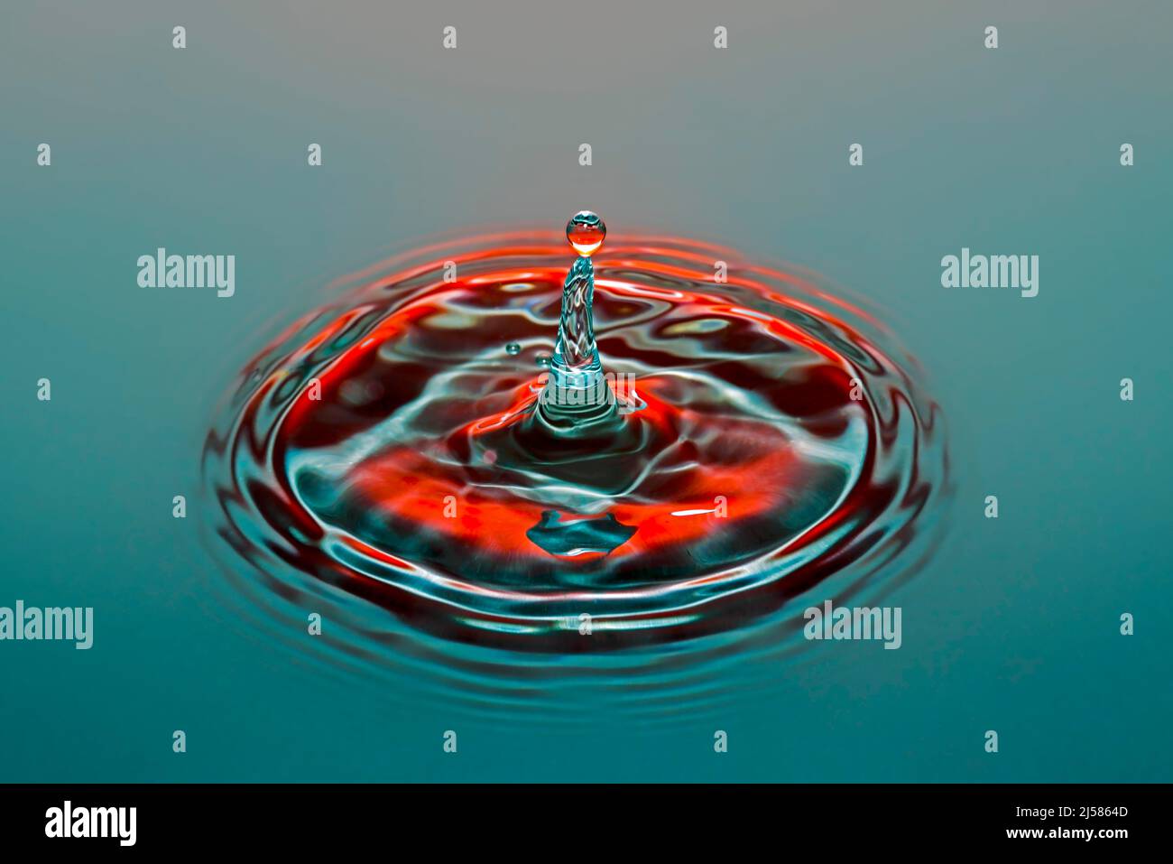 Tropfenfotografie, Wassertropfen fallen auf Wasseroberflaeche, Wassersaeule, Farbspiel, Studioaufnahme Stockfoto