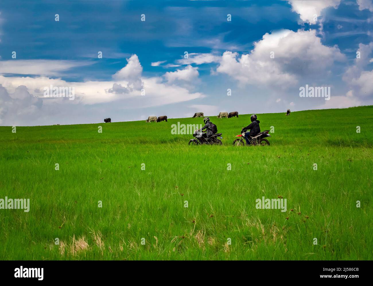 Junger Mann auf seinem Motorrad, der mit Kopierraum durch die Landschaft reist, Mann, der auf dem Land Motorrad fährt Stockfoto