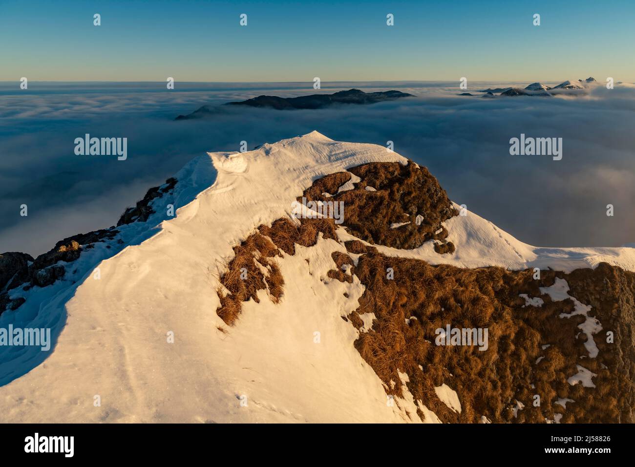 Winterliche Gipfel der Ammergauer Berge mit Nebelmeer im Morgenlicht, Branderschrofen, Füssen, Ostallgäu, Schwaben, Bayern, Deutschland Stockfoto