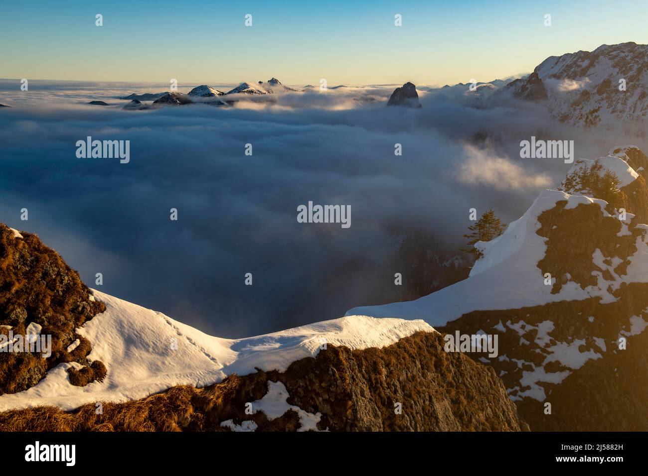 Winterliche Gipfel der Ammergauer Berge mit Nebelmeer im Morgenlicht, Branderschrofen, Füssen, Ostallgäu, Schwaben, Bayern, Deutschland Stockfoto