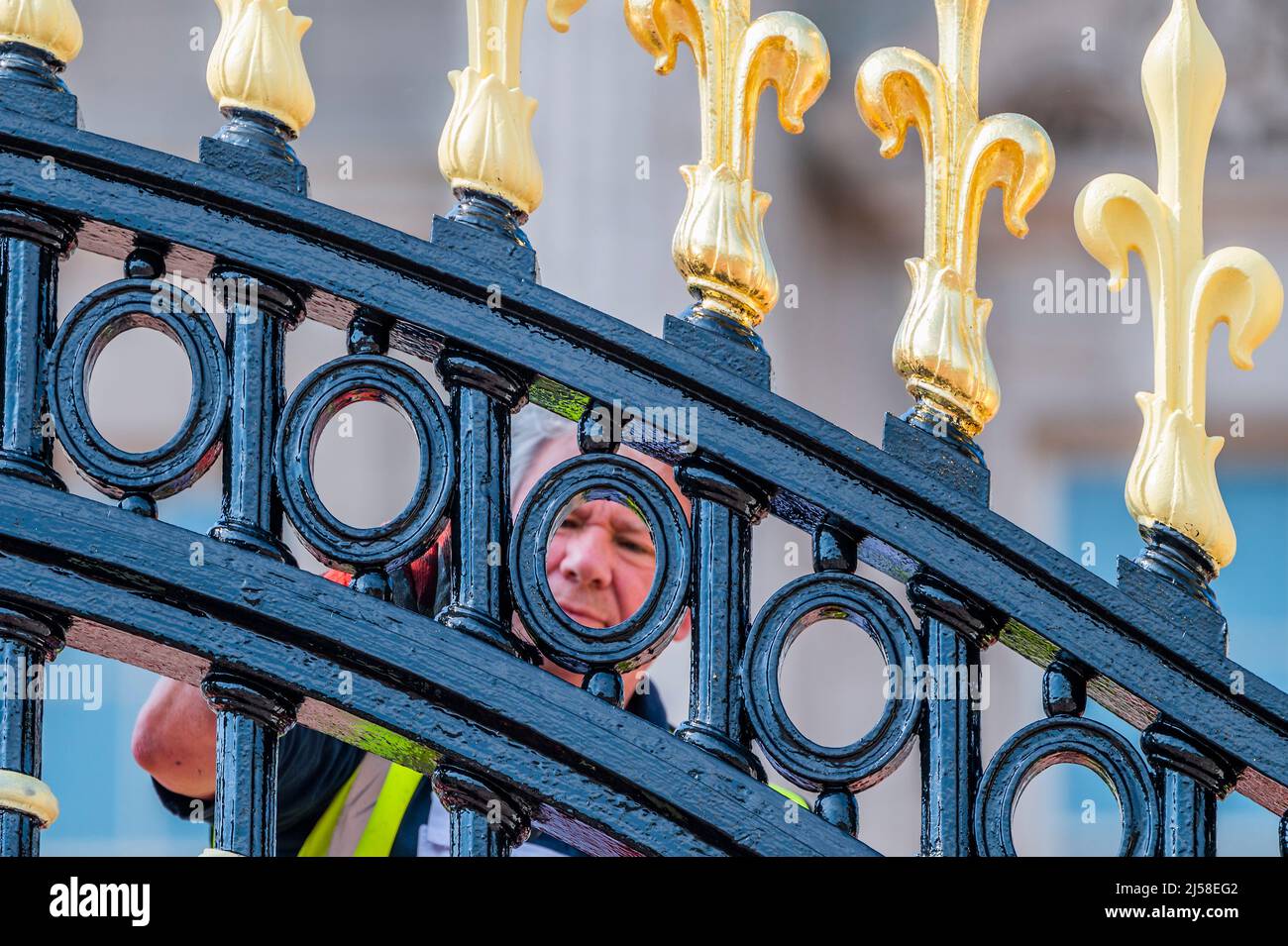 London, Großbritannien. 21. April 2022. Die Tore des Buckingham Palace sind zum 96.. Geburtstag von HM the Queen gemalt. Weitere Hinweise auf die sich entwickelnden Feierlichkeiten zum Platin-Jubiläum. Kredit: Guy Bell/Alamy Live Nachrichten Stockfoto