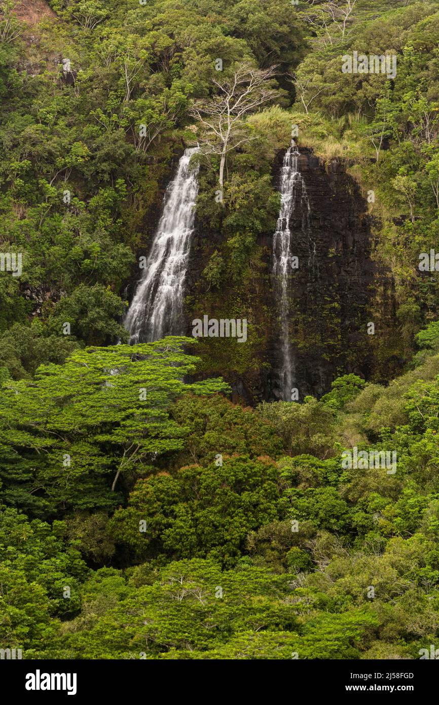 Opaekaa Falls im Wailua River State Park auf der Insel Kauai in Hawaii, USA. Die Wasserfälle stürzen sich 151 vertikale Fuß über einen Vulkani hinunter Stockfoto