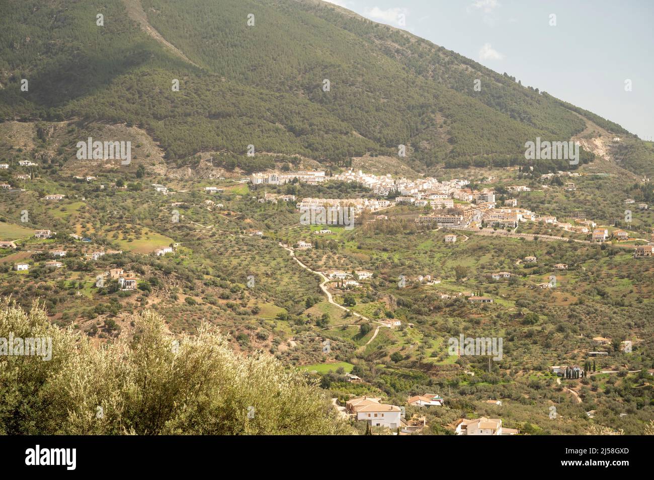 Frühling in der Sierra de Tejeda Gebirge in der Nähe von Malaga, Andalusien, Spanien Stockfoto