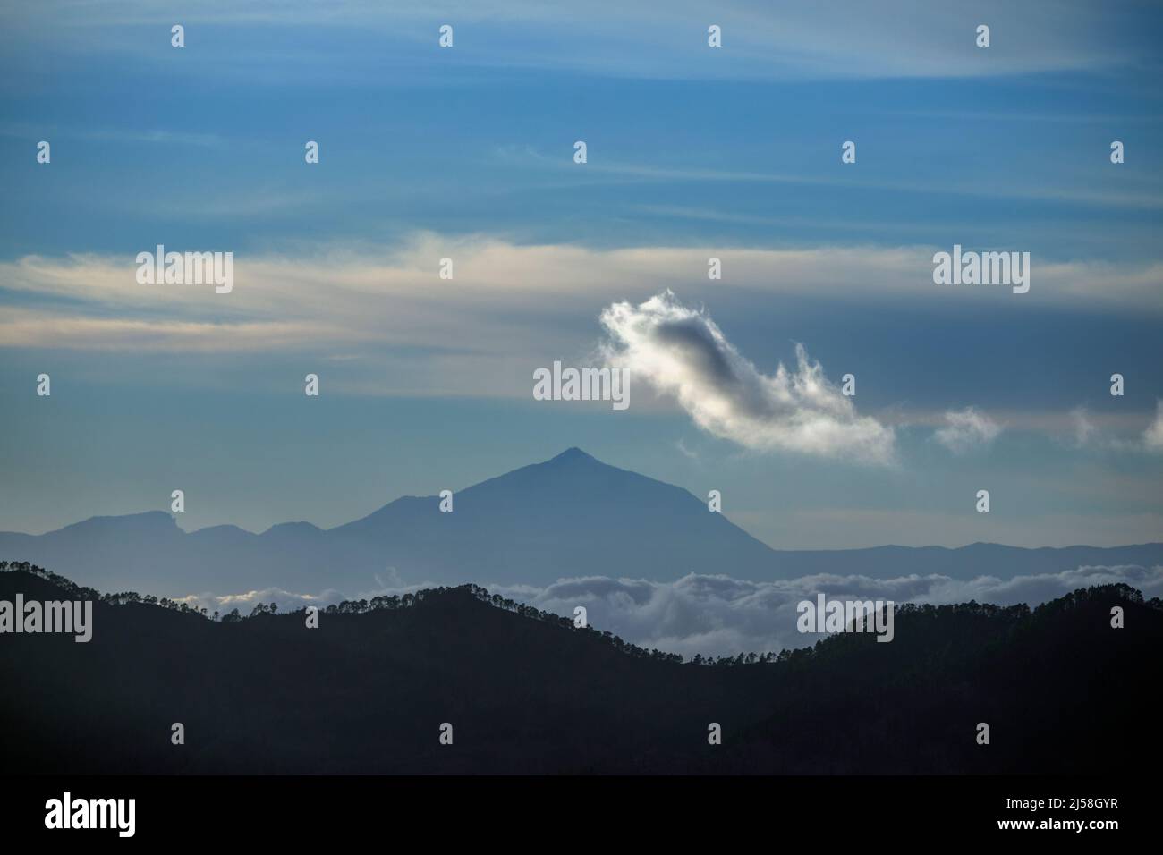 el teide in den Wolken teneriffa Stockfoto