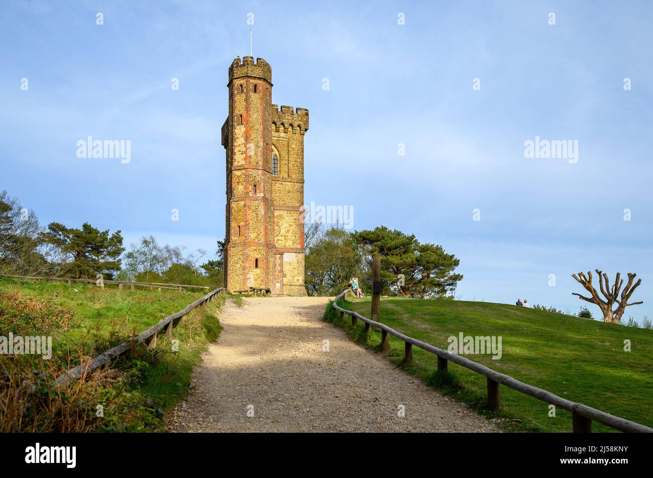 Leith Hill, Surrey, Großbritannien: Fußweg des Greensand Way, der zum Leith Hill Tower auf dem Gipfel des Leith Hill führt. Teil der Surrey Hills. Stockfoto