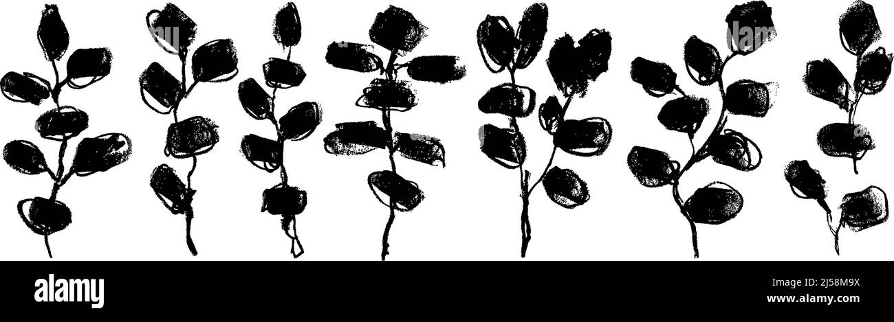Handgezeichnete schwarze Bürste Eukalyptus Zweige Set. Stock Vektor
