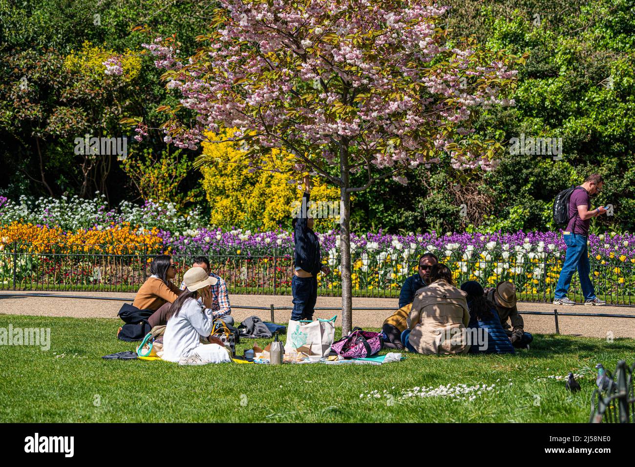 LONDON, GROSSBRITANNIEN. 21 April, 2022 . Menschen, die sich in der Frühlingssonne im Saint James Park London entspannen, nutzen den Zauber des warmen Wetters, das voraussichtlich ein paar Tage dauern wird. Kredit: amer ghazzal/Alamy Live Nachrichten Stockfoto