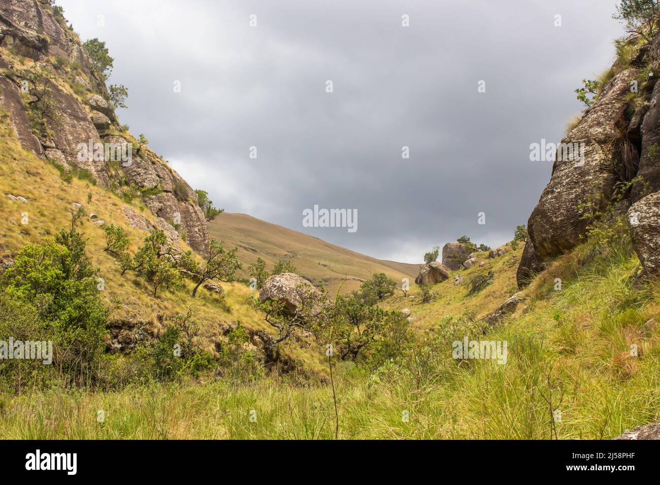 Blick aus einem geschützten Tal mit bedrohlichen Sturmwolken, die sich über dem Afroalpinen Grasland der Drakensberg Mountains in Südafrika sammeln Stockfoto