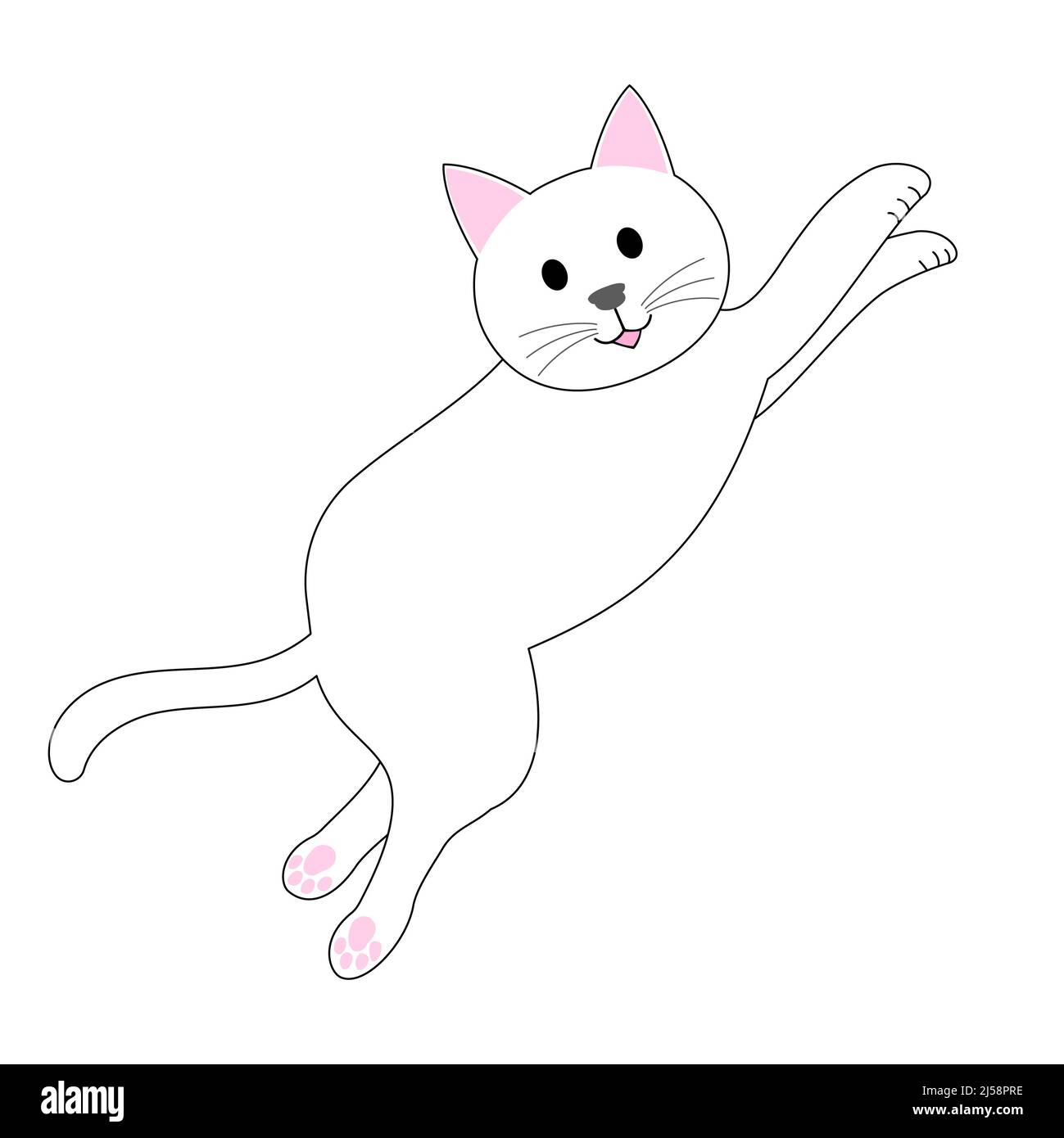 Springende weiße Katze mit weißem Hintergrund Stockfoto