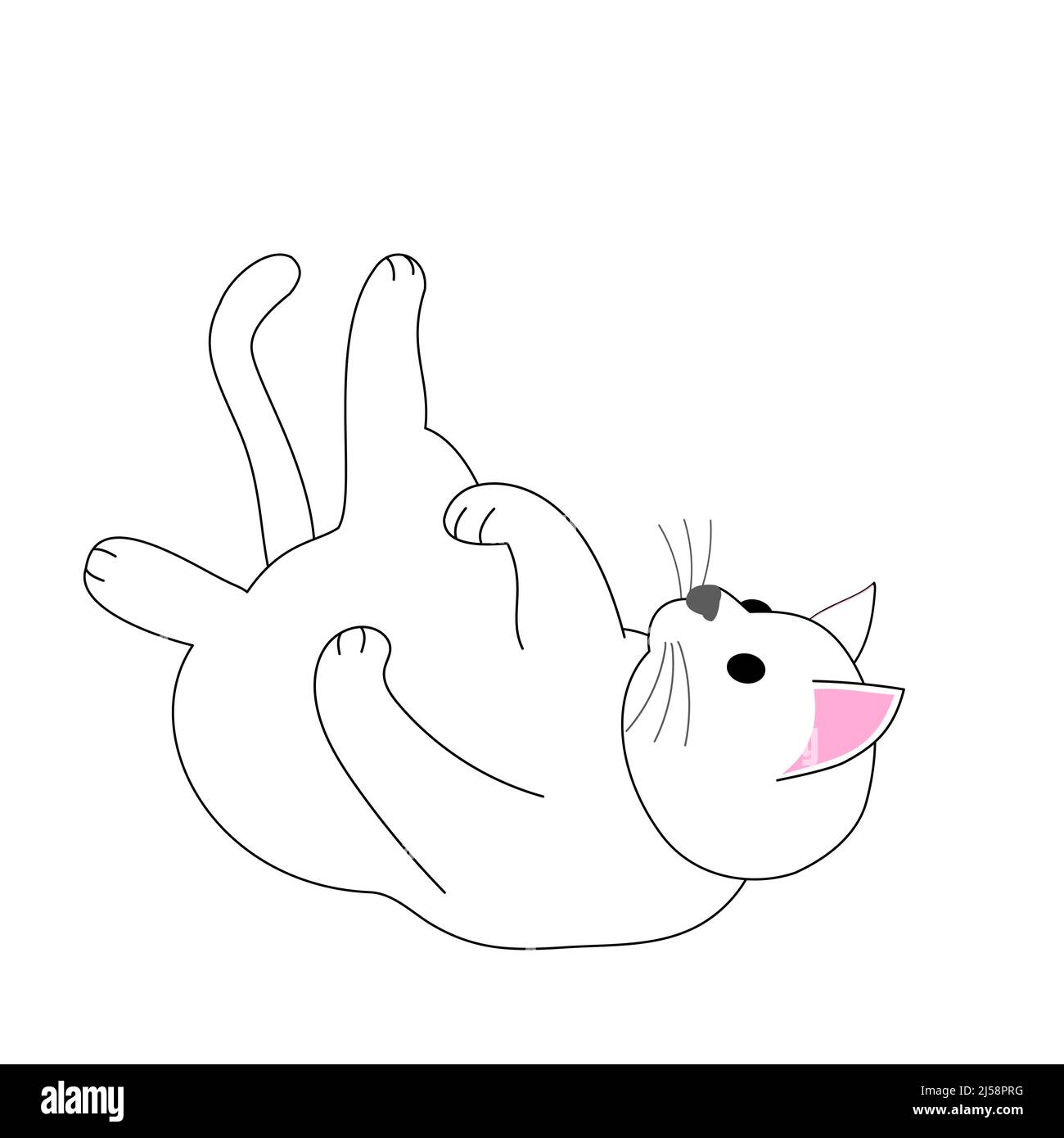 Eine spielende weiße Katze mit weißem Hintergrund Stockfoto