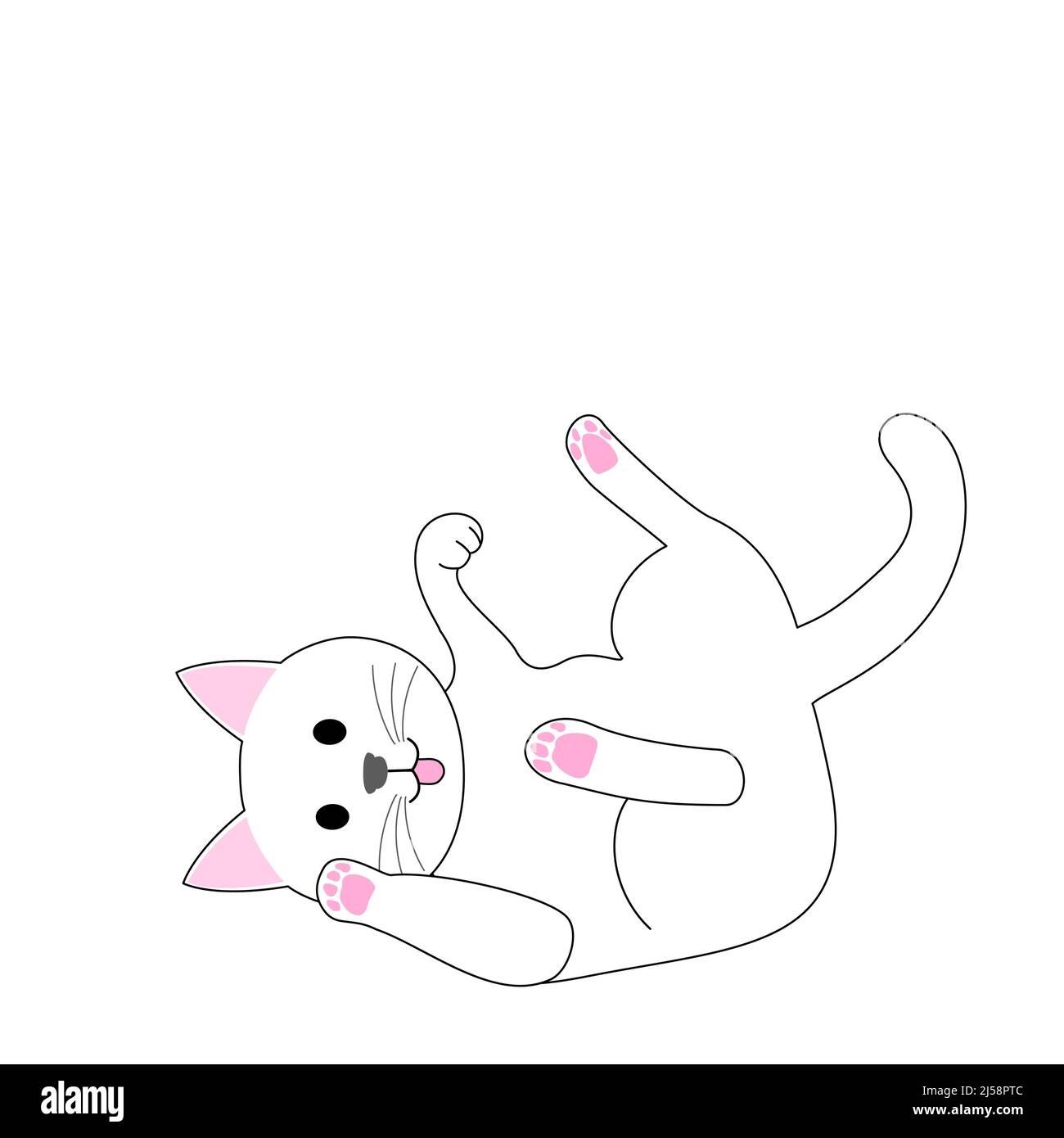 Eine spielende weiße Katze mit weißem Hintergrund Stockfoto