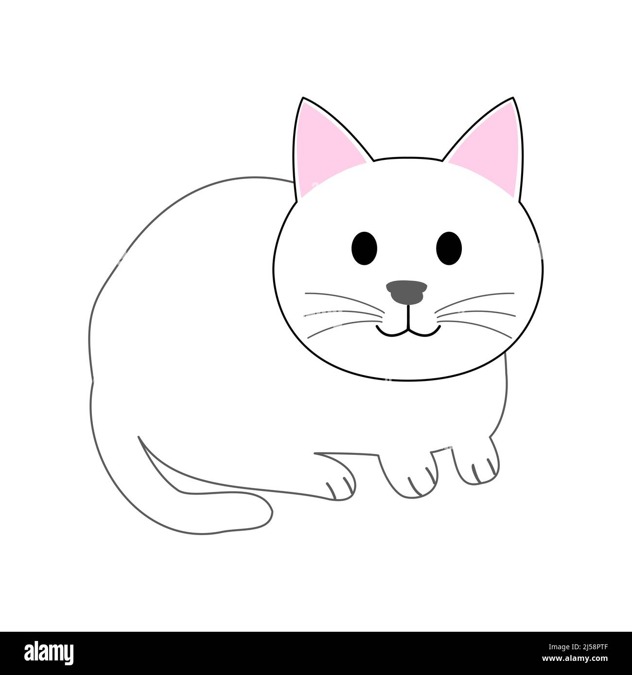 Sitzende weiße Katze mit weißem Hintergrund Stockfoto
