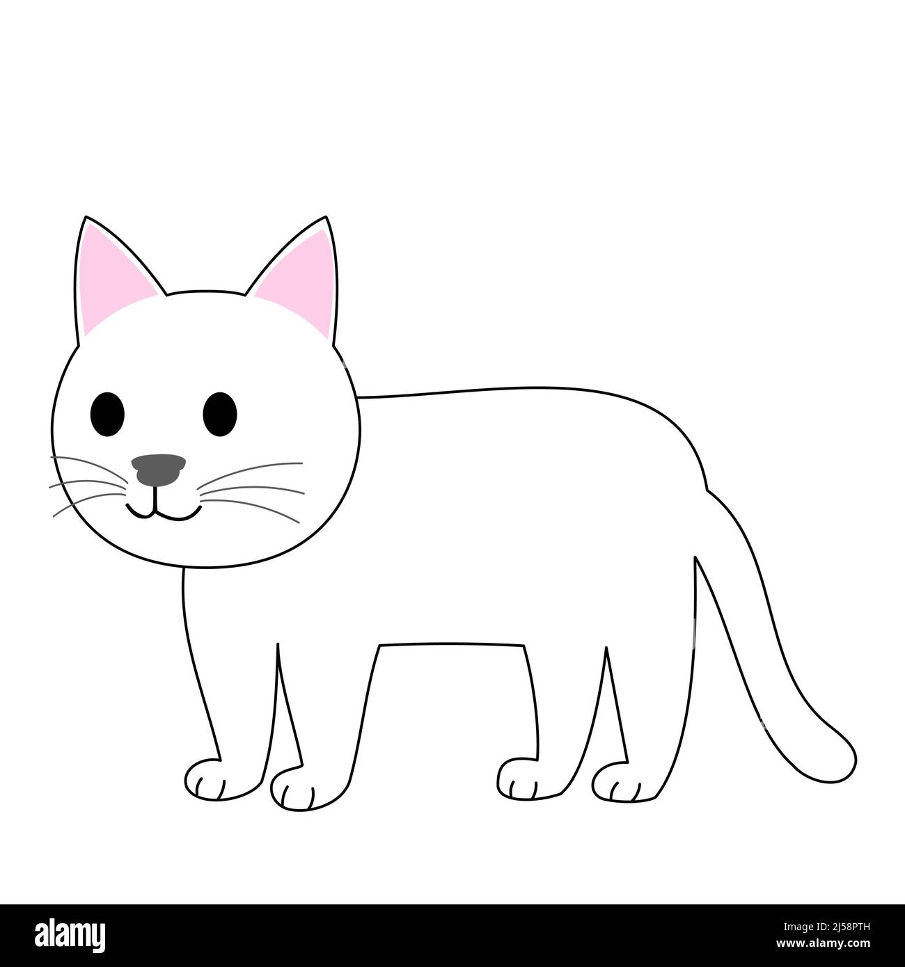 Eine stehende weiße Katze mit weißem Hintergrund Stockfoto