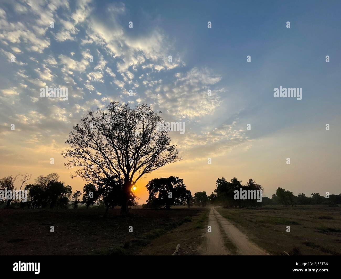 Kanha National Park ( Tiger Reserve ) Landschaft , in Madhya Pradesh Zentral-Indien Stockfoto