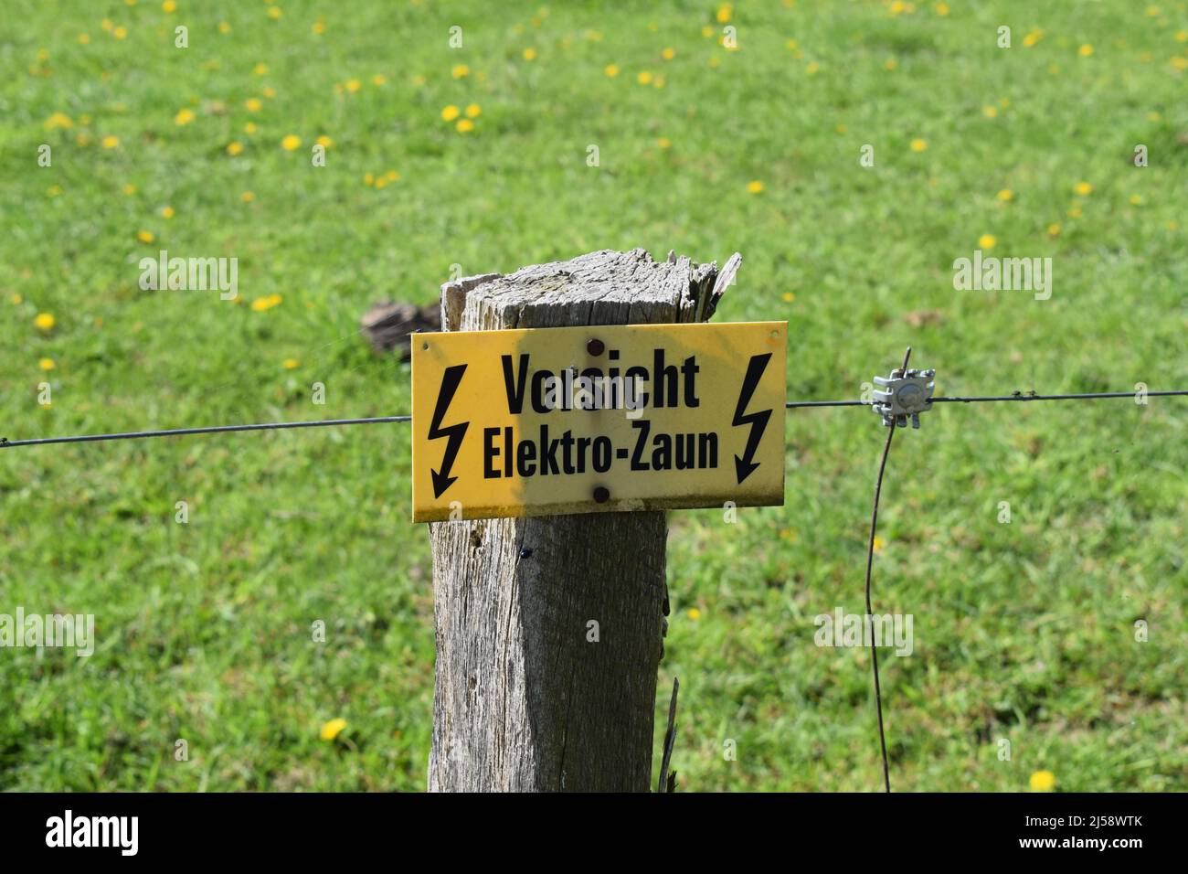 Symbol für elektrischen Zaun in Deutschland Stockfoto