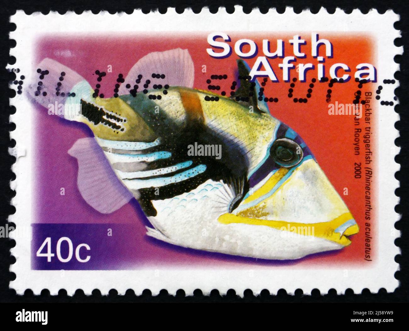 SÜDAFRIKA - UM 2000: Eine in Südafrika gedruckte Marke zeigt Blackbar Triggerfish, Rhinecanthus Aculeatus, Marine Tropical Fish, um 2000 Stockfoto