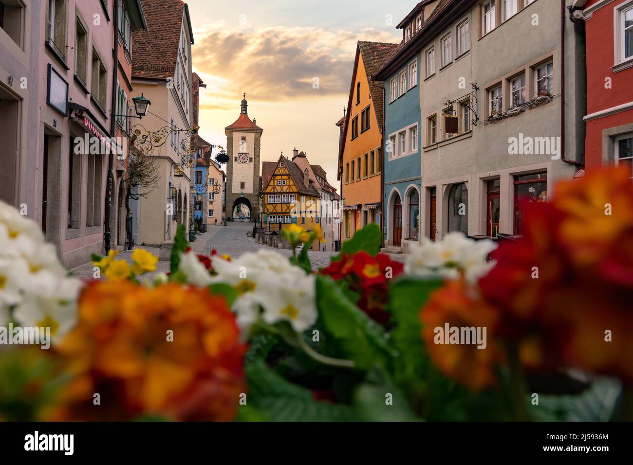 Romantisches Rothenburg ob der Tauber am Abend mit springblumen Stockfoto