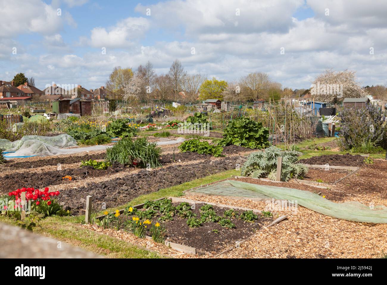 Zuteilungen Didcot Oxfordshire Stockfoto