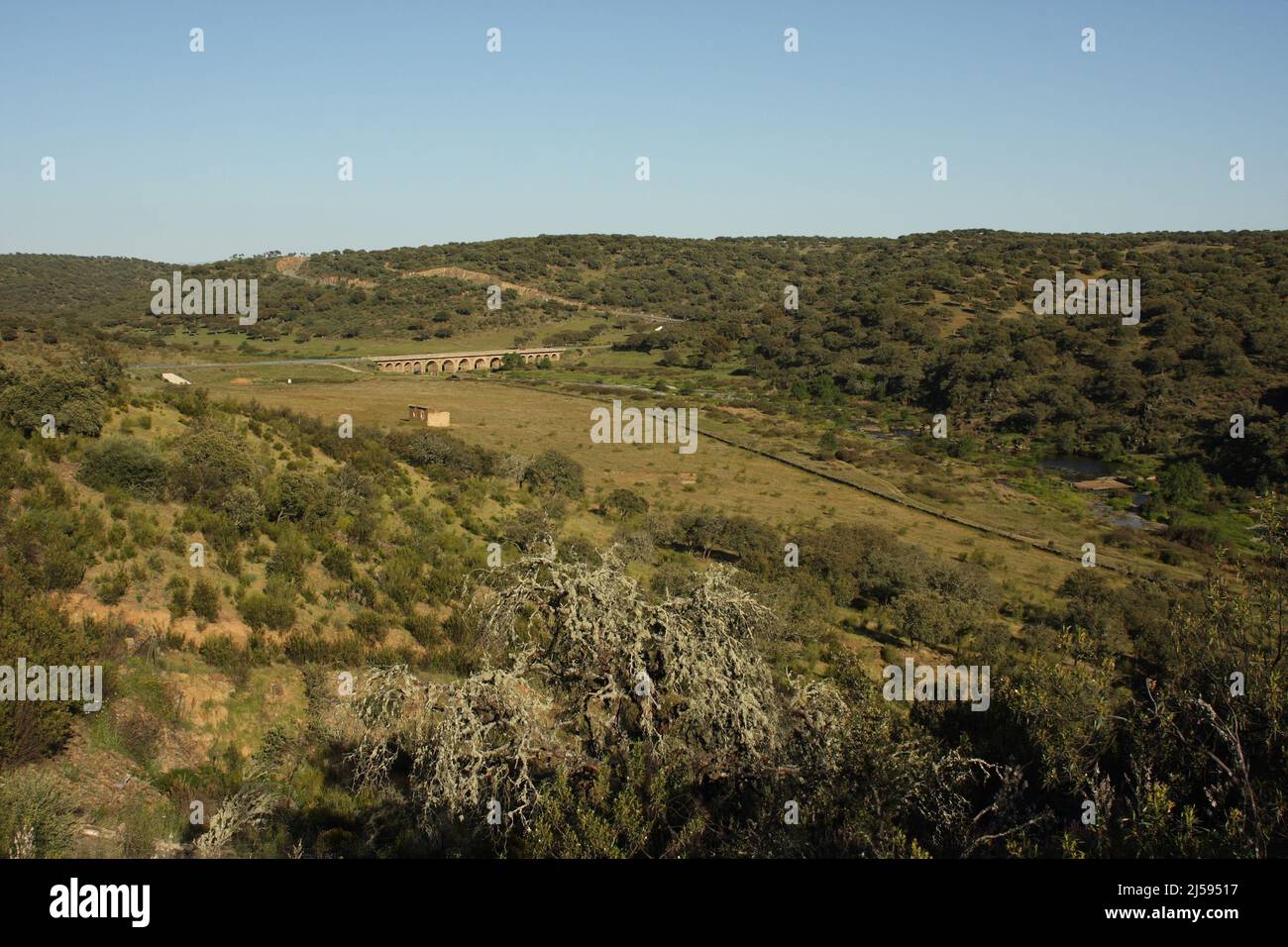 Flusstal vom Rio Almonte mit Brücke - südlich von Torrejon El Rubio, Extremadura, Spanien Stockfoto