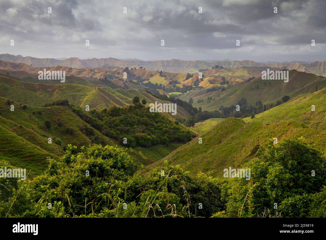 Zerklüftete, üppige Landschaft entlang des neuseeländischen Highway 43, auch bekannt als Forgotten World Highway Stockfoto