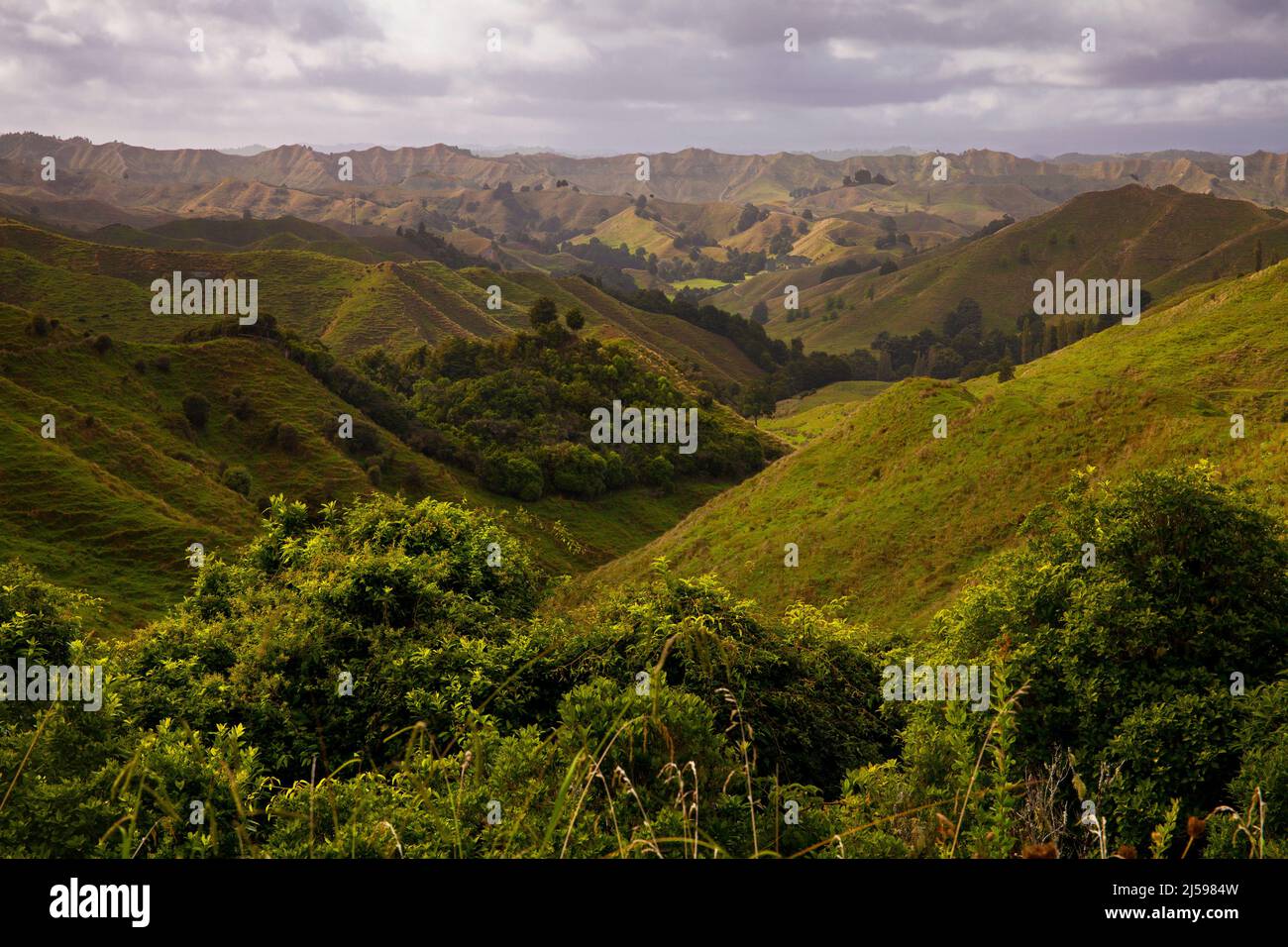 Zerklüftete, üppige Landschaft entlang des neuseeländischen Highway 43, auch bekannt als Forgotten World Highway Stockfoto