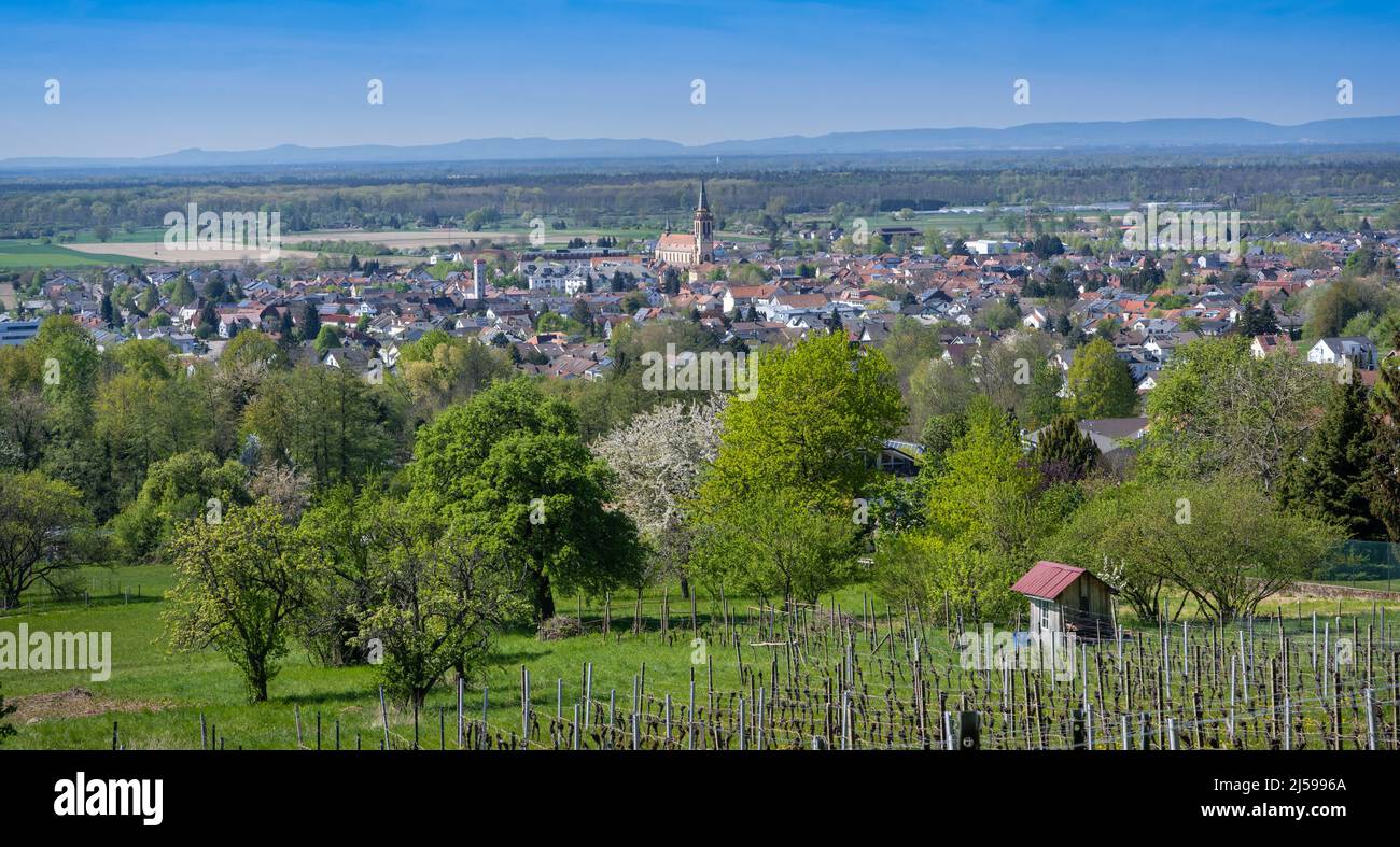 Sinzheim Baden Baden