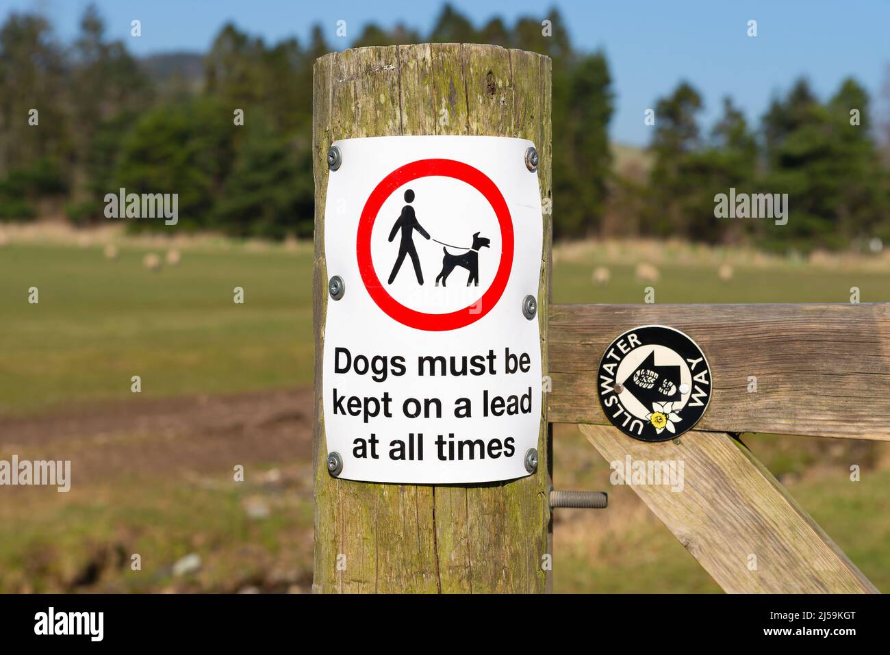 Hunde müssen auf einem Bleifußweg-Schild mit Landschaft im Hintergrund gehalten werden. Pooley Bridge, England. Stockfoto