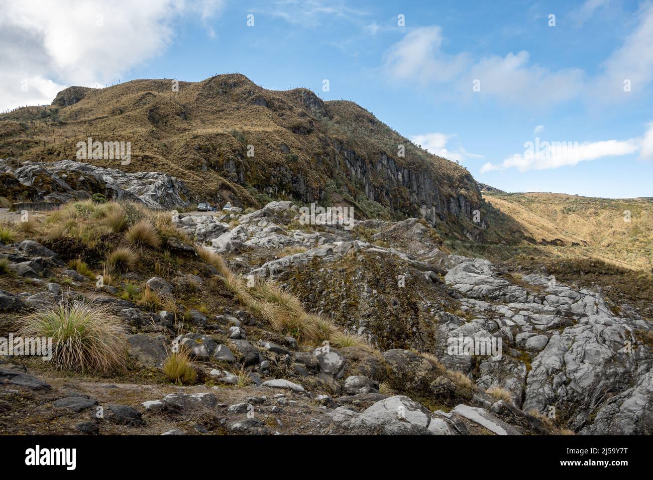Hochgelegene Paramoanlage im Nationalpark Los Nevados, Kolumbien, Südamerika. Stockfoto Hochgelegene Paramoanlage im Nationalpark Los Nevados, Kolumbien, Südamerika. Stockfoto